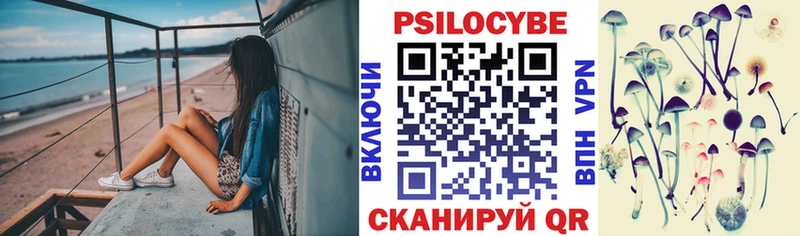 Псилоцибиновые грибы Psilocybine cubensis  Орск 